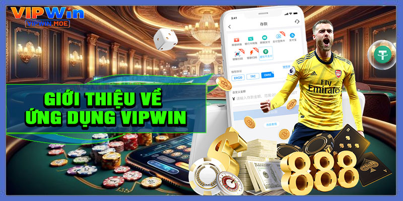 Giới Thiệu Về Ứng Dụng VIPWIN