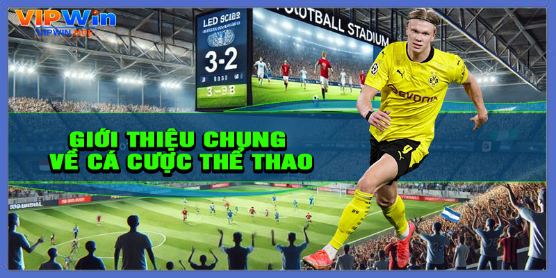 Giới thiệu chung về cá cược thể thao
