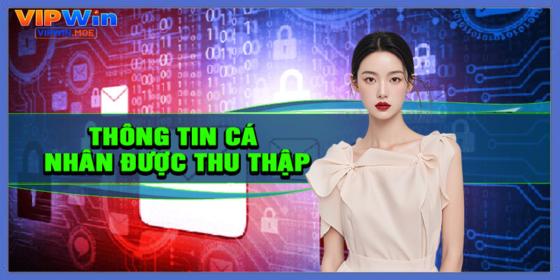 Thông tin cá nhân được thu thập