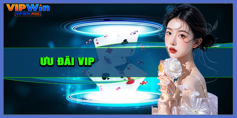 Ưu đãi VIP – Dành riêng cho hội viên thân thiết